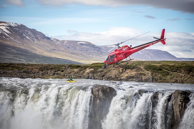Whale Watching And Fly Over Iceland Guided Tour - Choosing the morning or afternoon schedule