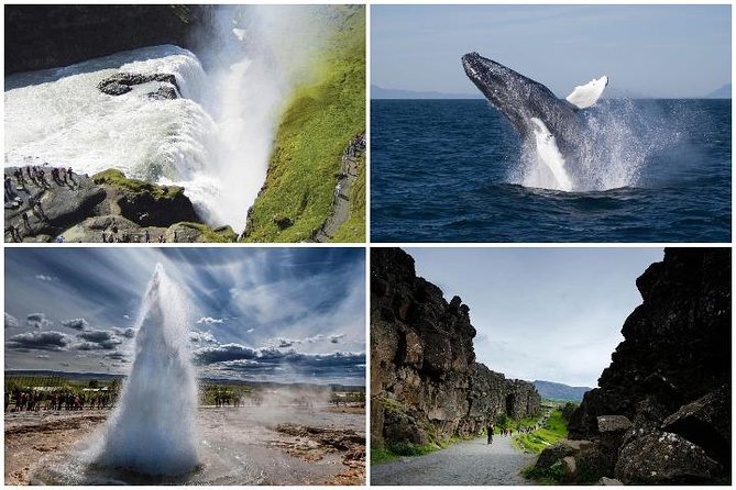 Whale Watching and Golden Circle Tour from Reykjavik - Hveragerði and the return to Reykjavik