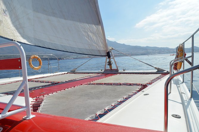 Whale Watching and Listening Eco Catamaran Tour with Food Tasting - From Puerto Colón to open Atlantic water