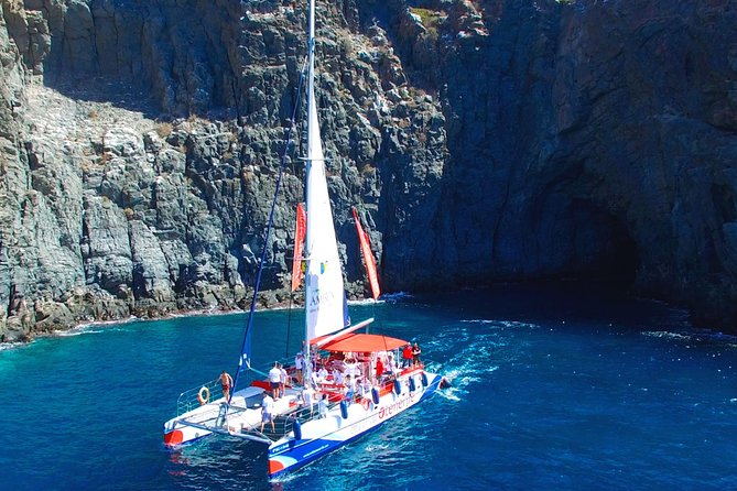 Whale Watching and Listening Eco Catamaran Tour with Food Tasting - Is five hours worth the extra time?