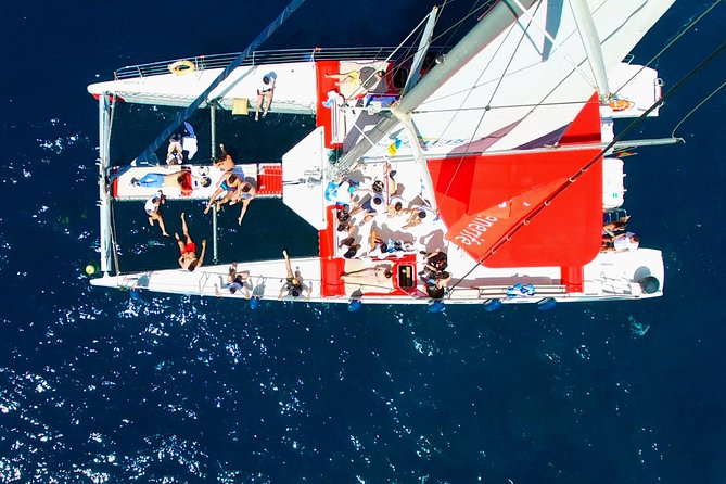 Whale Watching and Listening Eco Catamaran Tour with Food Tasting - Comfort, group size, and the best place to sit