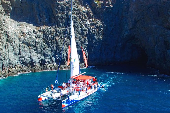 Whale watching and listening Eco-Catamaran Tour with Food Tasting - Who will enjoy this catamaran trip?