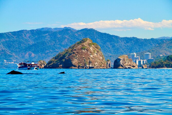 Whale Watching and Los Arcos 5 Islands Adventure - Two hours across Banderas Bay