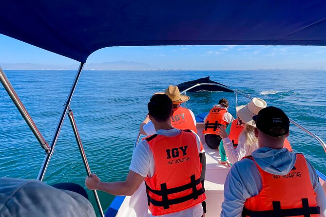 Whale Watching and Los Arcos 5 Islands Adventure - Starting beside the sand at Playa Mismaloya