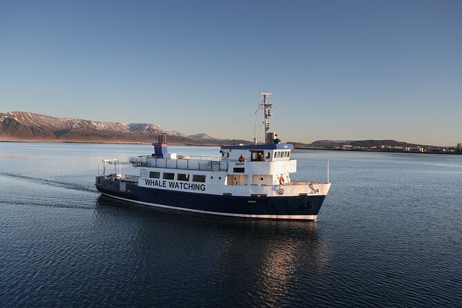 Whale Watching and Marine Life Tour in Reykjavik - Setting out from Reykjavik’s Old Harbour