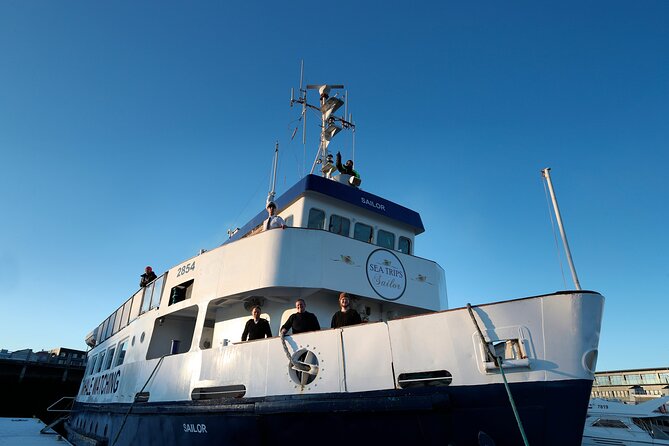 Whale Watching and Marine Life Tour in Reykjavik - Harpa, Engey, Lundey, and Viðey from the water