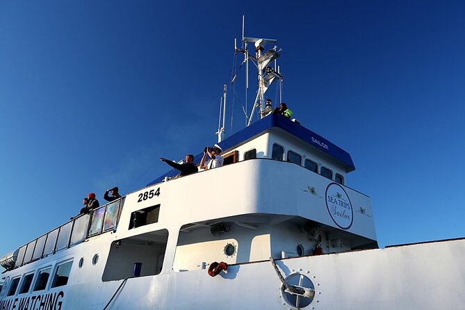Whale Watching and Marine Life Tour in Reykjavik - Practical details before you reserve