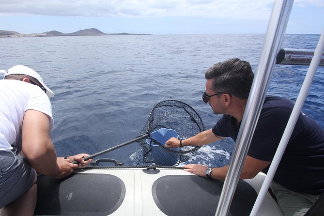 Whale Watching and Marine Science Tour - Passing Rasca lighthouse and Malpaís de Rasca