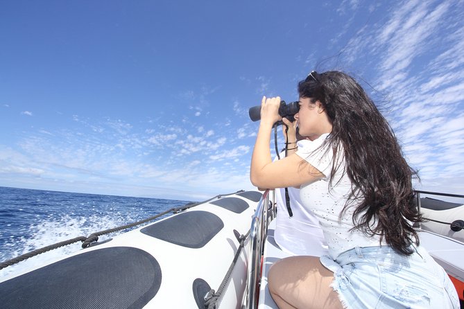 Whale Watching and Marine Science Tour - Mount Teide when the sky is clear