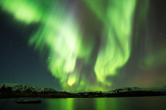 Whale Watching and Northern Lights Half-Day Combo Tour - Two Iceland highlights in one carefully timed day