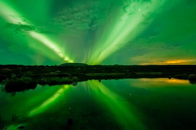 Whale Watching and Northern Lights Half-Day Combo Tour - The break between cruises is part of the deal