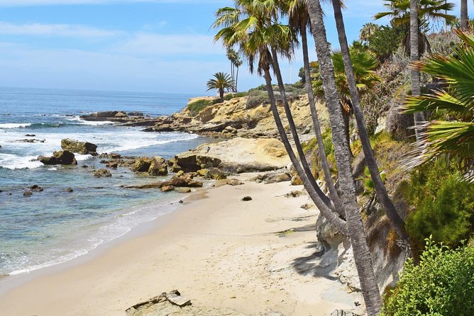 Whale-Watching and Orange County Beaches Tour from Anaheim - Laguna Beach: cliffs, ocean views, and a quick introduction