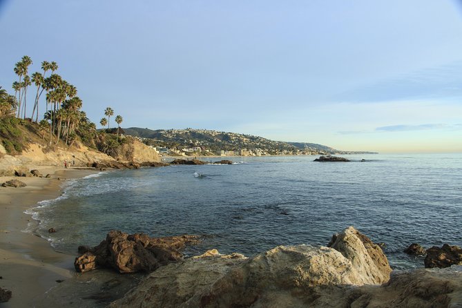 Whale-Watching and Orange County Beaches Tour from Anaheim - The $99 question: is the convenience worth it?