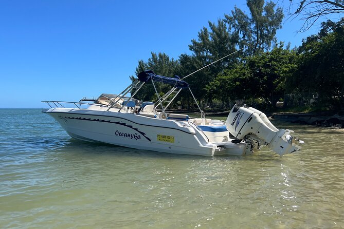 Whale Watching and Private Ocean Safari Experience in Mauritius - Why the oceanographer makes this trip different