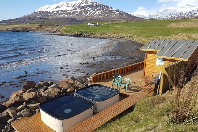 Whale Watching and Sea Angling Tour - Is the $100 price good value?
