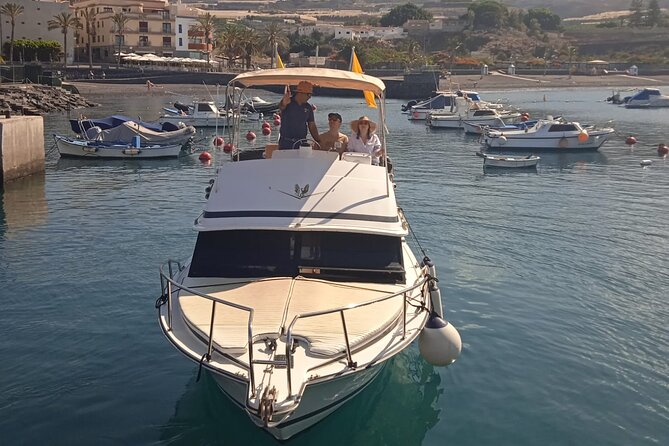 Whale watching and snorkelling in the whale sanctuary - The captain’s explanations make the route more worthwhile