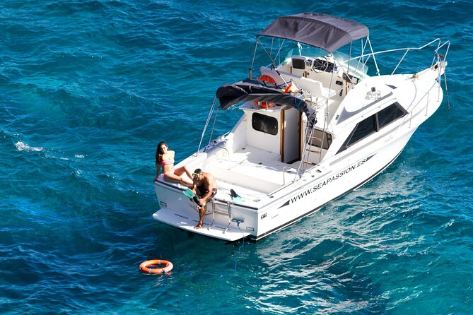 Whale watching and snorkelling in the whale sanctuary - How the small group changes the experience