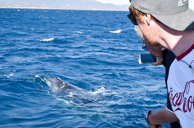 Whale Watching and Wildlife Cruise Townsville and Magnetic Island - Food, drinks, and the onboard routine