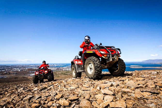 Whale Watching & ATV Adventure from Reykjavik - Three hours on Faxaflói Bay