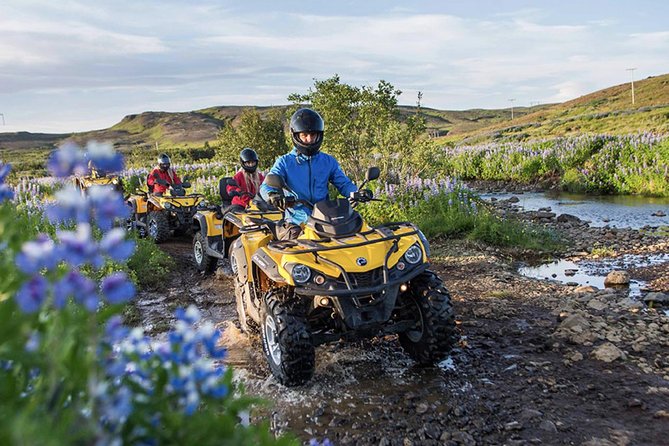 Whale Watching & ATV Adventure from Reykjavik - The seasickness warning deserves attention