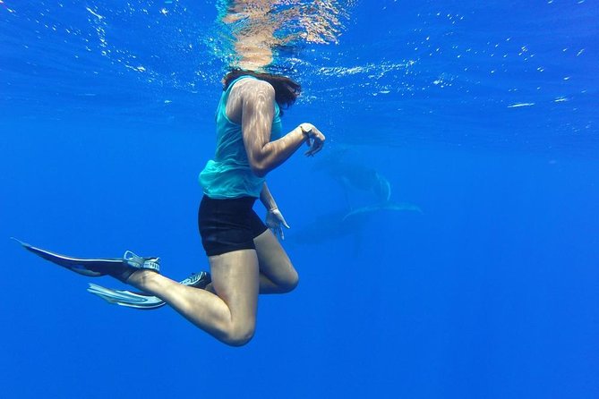 Whale Watching Bora Bora - Getting in the water with snorkel gear