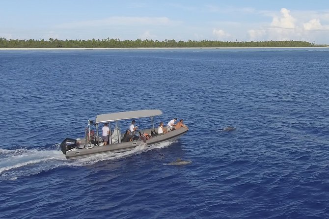 Whale Watching Bora Bora - Is $304 good value?