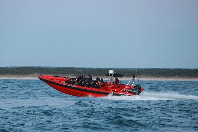 Whale Watching by RIB Speedboat from Downtown Reykjavik - A guide-led search, not just a fast ride