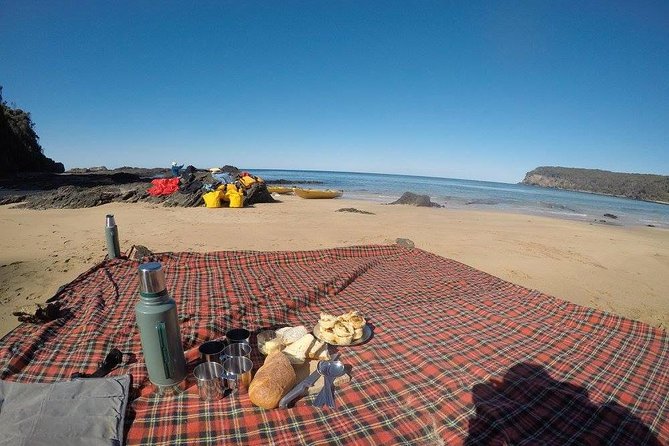 Whale Watching by Sea Kayak in Batemans Bay - What to bring and how to prepare