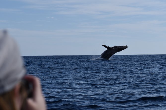 Whale Watching Cabo-Women crew-Sightings Guaranteed & Free Photos - How the two-hour timing works for your day
