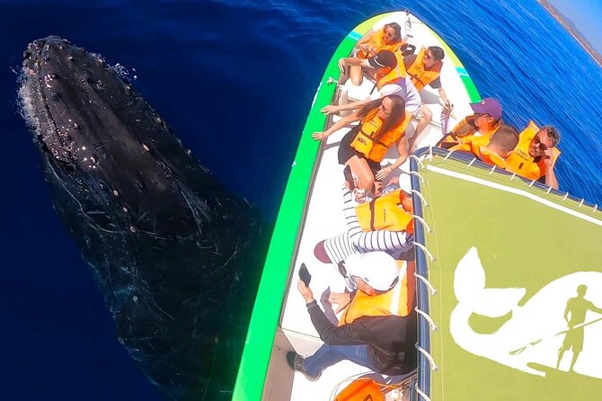 Whale Watching Cabo-Women crew-Sightings Guaranteed & Free Photos - Responsible whale watching matters