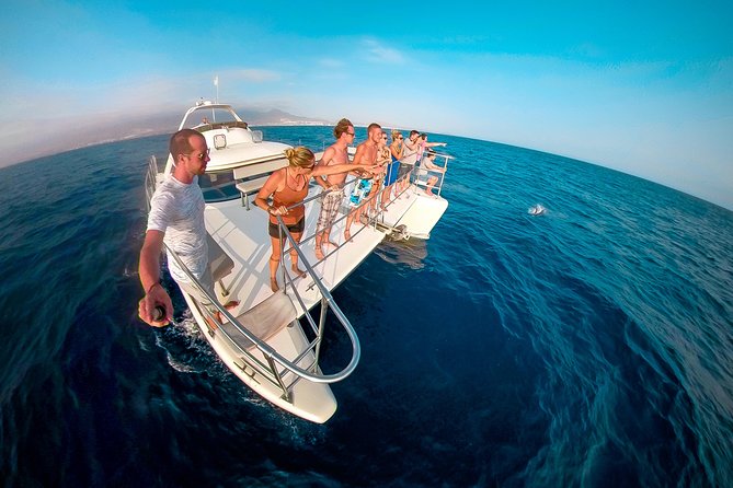 Whale Watching Catamaran Cruise with Transfer, Buffet by MC - Key points at a glance