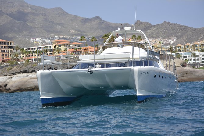 Whale Watching Catamaran Cruise with Transfer, Buffet by MC - Who should book this catamaran?
