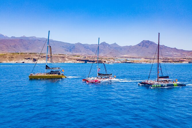 Whale Watching Catamaran in Costa Adeje (Including drinks & Sandwich) - A possible swim stop and time on the water