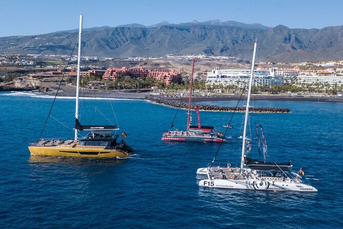 Whale Watching Catamaran in Costa Adeje (Including drinks & Sandwich) - Group size and the reality of a large boat