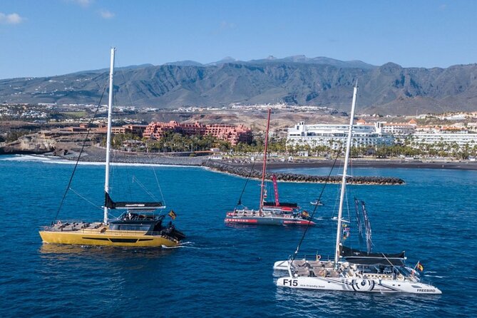 Whale Watching Catamaran to Los Gigantes & Masca (Including drinks & warm lunch) - Lunch, beer, soft drinks, and the onboard bar