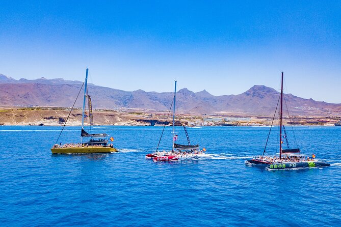 Whale Watching Catamaran to Los Gigantes & Masca (Including drinks & warm lunch) - Is $72.08 a fair price?