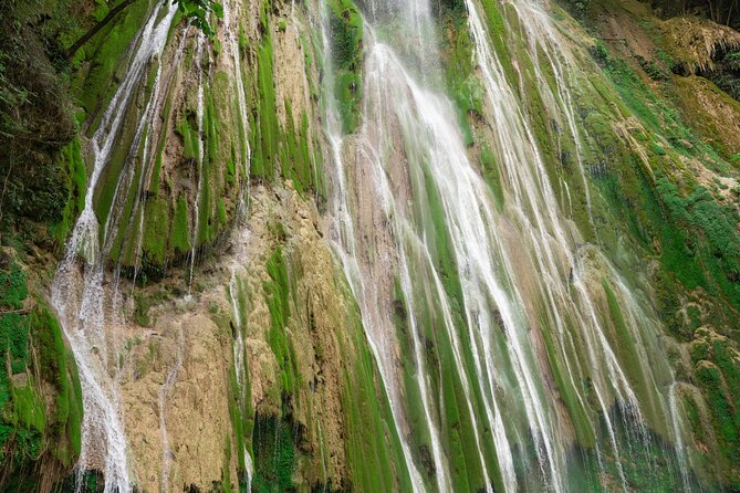 Whale Watching, Cayo Levantado and Limón Waterfall in Samaná - Why Samaná Bay is the day’s headline
