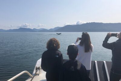 Whale Watching Charters and Bear search through Icy Strat Alaska