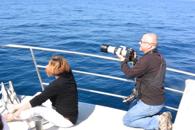 Whale Watching Cruise from Mooloolaba - What the crew adds to the outing