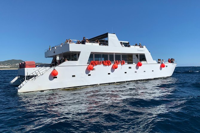 Whale Watching Cruise in Cabos San Lucas and Ground Transportation - Transport, Pickup, and Group Size