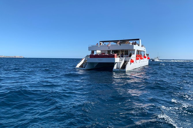 Whale Watching Cruise in Cabos San Lucas and Ground Transportation - What Is Included for Your $118
