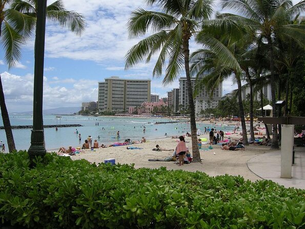 Whale Watching Cruise in Honolulu - Key points to know before you book