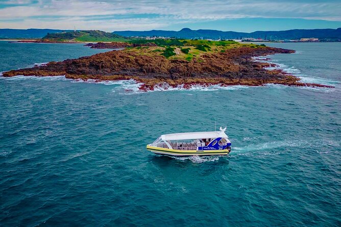Whale Watching Cruise in New South Wales - A short cruise with a real open-sea feel