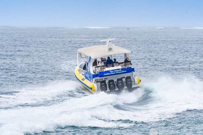 Whale Watching Cruise in New South Wales - Weather, cancellations, and the practical fine print