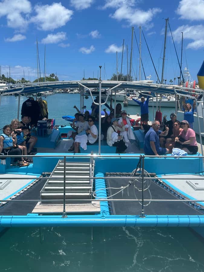 Whale Watching Cruise in Waikiki Oahu - SEE THE HUMPBACKS! - The honest odds of seeing a whale