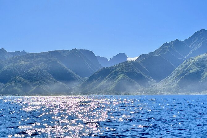 Whale watching DE Humpback West Coast of Tahiti - Weather, cancellation, and practical planning