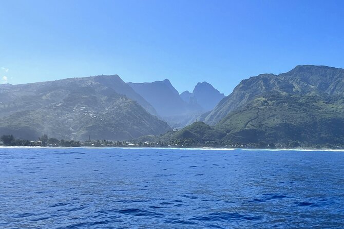 Whale watching DE Humpback West Coast of Tahiti - What the four-hour trip is really like