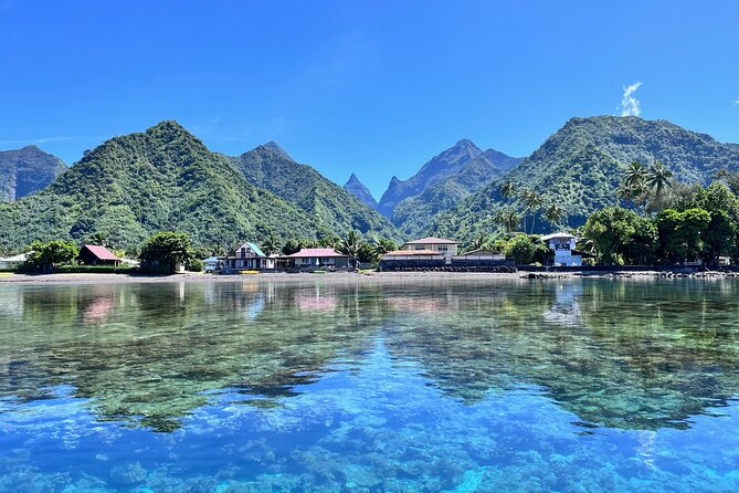 Whale watching DE Tahiti Peninsula - Key points to know before you book