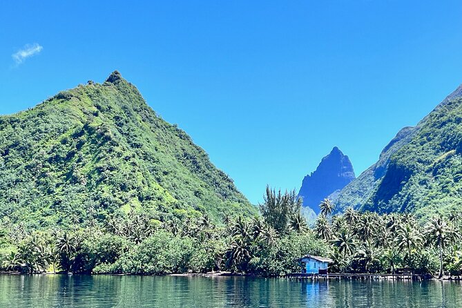 Whale watching DE Tahiti Peninsula - The boat, group size, and what they mean