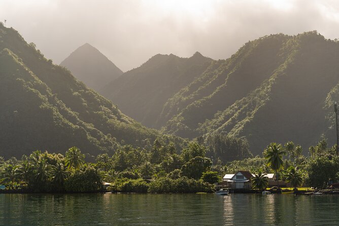 Whale watching DE Tahiti Peninsula - Romuald and the tone of the excursion